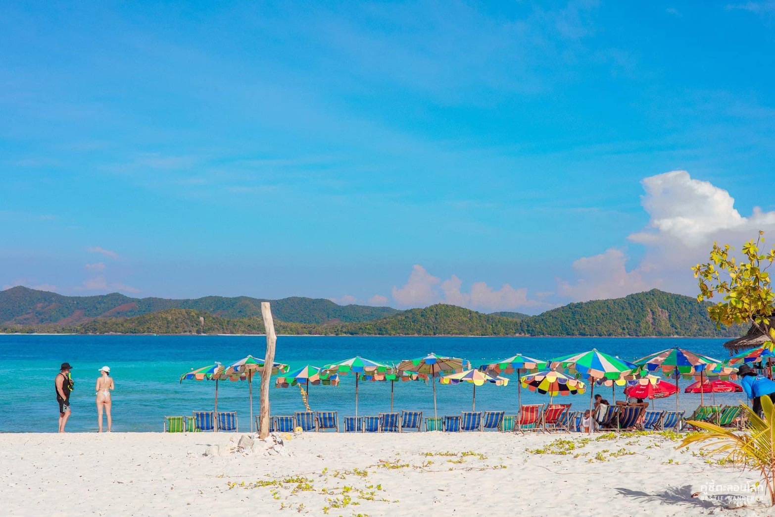 Half Day Morning or Afternoon 3 Khai Islands Snorkeling Tour by Speed Boat