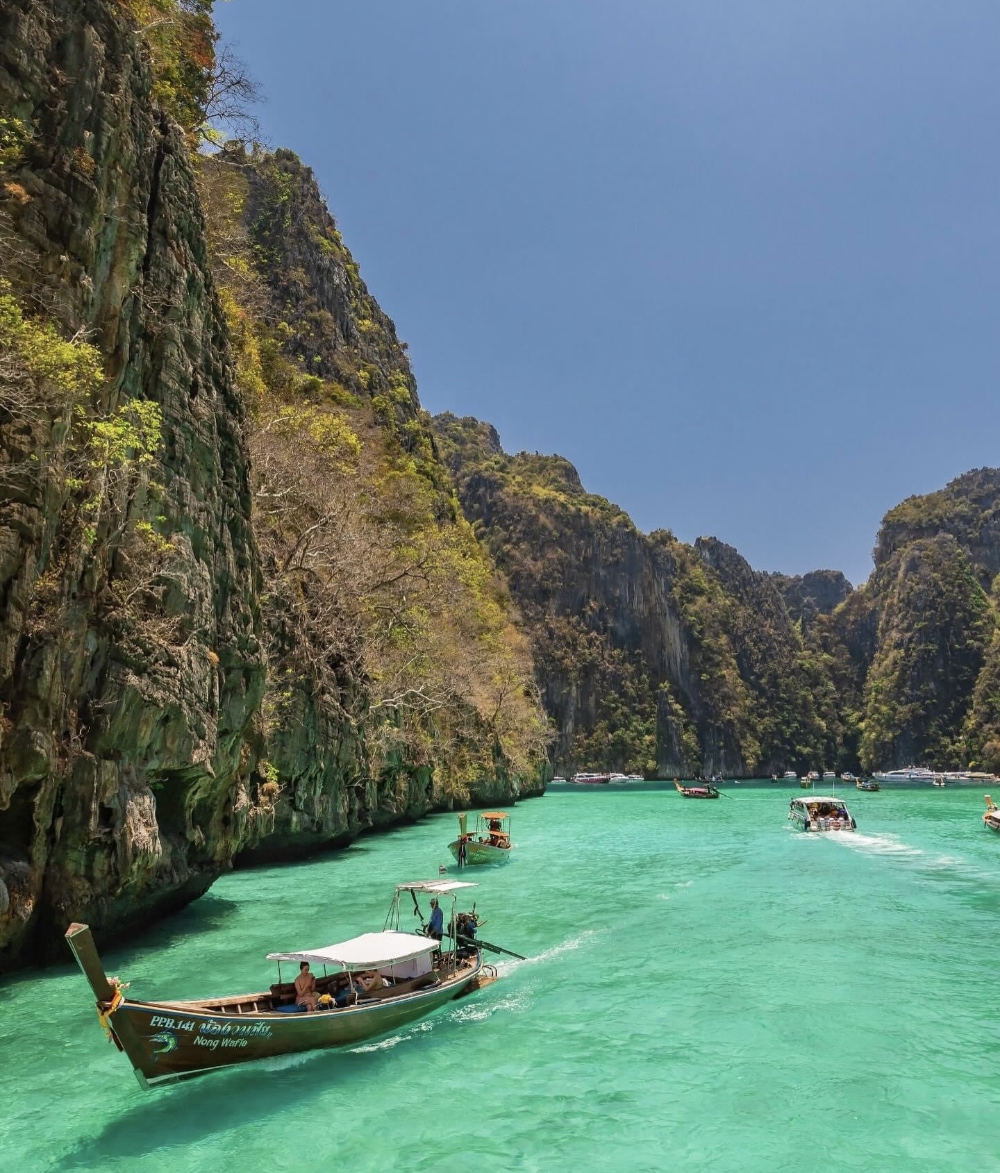Phi Phi + Maya Bay + Bamboo Island Deluxe Tour by Speedboat