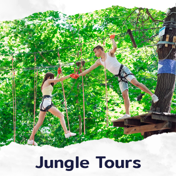 Jungle Tours