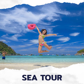 Island tour